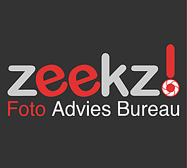 zeekz_ logo設(shè)計(jì)欣賞 zeekz_設(shè)計(jì)LOGO下載標(biāo)志設(shè)計(jì)欣賞