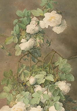 位圖 寫意花卉 植物 花朵 免費素材