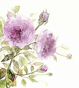 位圖 寫意花卉 植物 花朵 免費素材