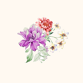 位圖 PSD 植物 花朵 免費(fèi)素材