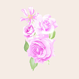 位圖 psd 植物 花朵 免費素材
