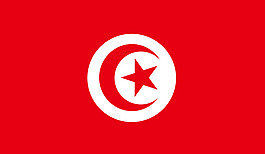 TUNUS_Flag-_gsyaso logo設(shè)計(jì)欣賞 TUNUS_Flag-_gsyaso工作室LOGO下載標(biāo)志設(shè)計(jì)欣賞
