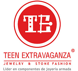 Teen_Extavaganza logo設(shè)計(jì)欣賞 Teen_Extavaganza工作室標(biāo)志下載標(biāo)志設(shè)計(jì)欣賞