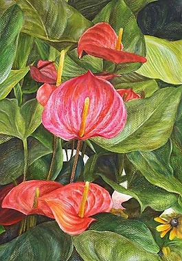 位圖 植物圖案 寫意花卉 花朵 超高清 免費素材