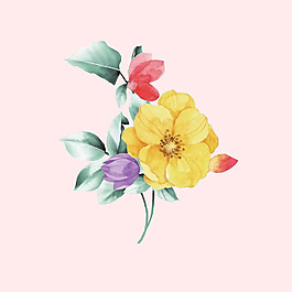 位圖 psd 植物 花朵 免費(fèi)素材
