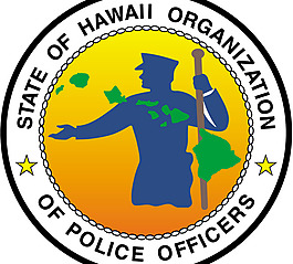 State_of_Hawaii logo設(shè)計(jì)欣賞 State_of_Hawaii廣告設(shè)計(jì)LOGO下載標(biāo)志設(shè)計(jì)欣賞