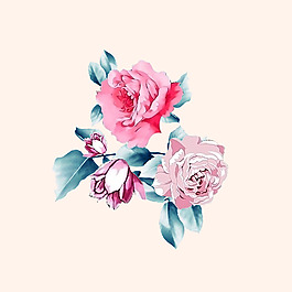 位圖 psd 植物 花朵 免費(fèi)素材