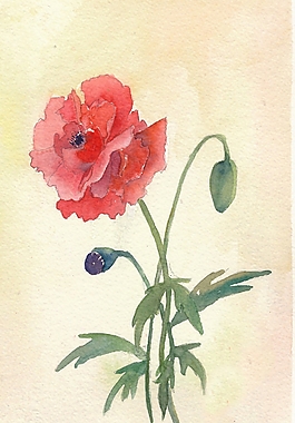 位圖 寫意花卉 植物 花朵 免費(fèi)素材
