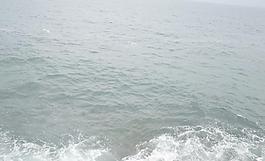 海景 海浪图片