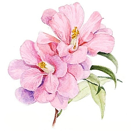 位圖 寫意花卉 植物 花朵 免費(fèi)素材