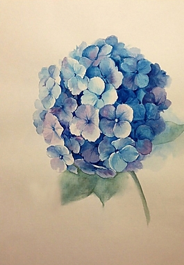 位圖 寫意花卉 植物 花朵 免費素材