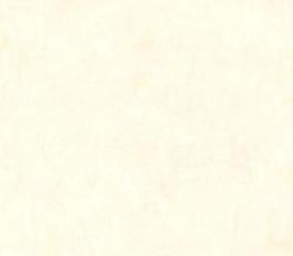 42136_石材_米黃