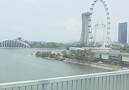 摩天輪海景圖片