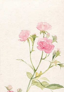 位圖 寫意花卉 植物 花朵 免費(fèi)素材