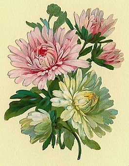 位圖 寫意花卉 植物 花朵 免費素材