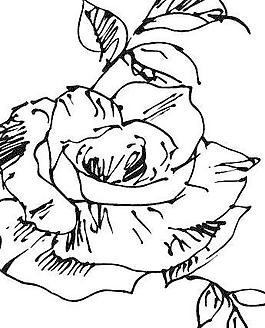 韓國精美花草圖案矢量圖021