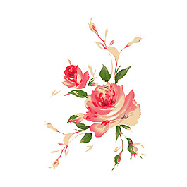 位圖 psd 植物 花朵 免費(fèi)素材