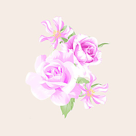 位圖 psd 植物 花朵 免費素材