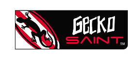 GeckoSaint logo設計欣賞 GeckoSaint廣告公司LOGO下載標志設計欣賞