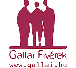 Gallai_Fiverek logo設(shè)計(jì)欣賞 Gallai_Fiverek廣告公司LOGO下載標(biāo)志設(shè)計(jì)欣賞