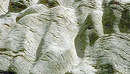 60396_混凝土_綜合