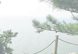 海景圖片