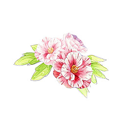 位圖 psd 花朵 免費(fèi)素材