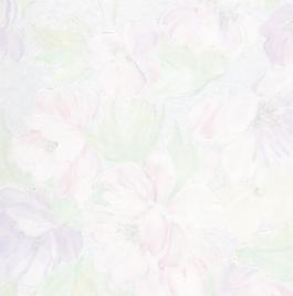 44162_肌理油彩_板彩膠