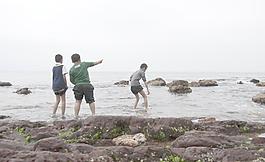 海景礁石图片
