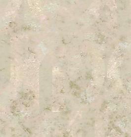 44209_肌理油彩_板彩膠