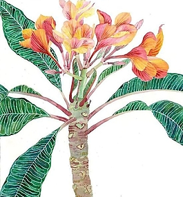 位圖 寫意花卉 植物 花朵 免費素材