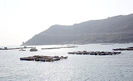 海景圖片