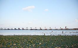 大連海景圖片