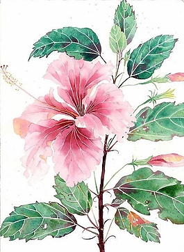 位圖 寫意花卉 植物 花朵 免費(fèi)素材