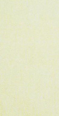 56885_皮革_綜合