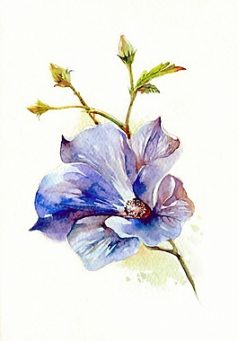位圖 寫意花卉 植物 花朵 免費素材