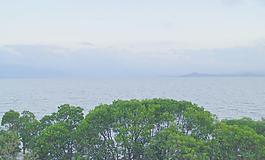 大海图片
