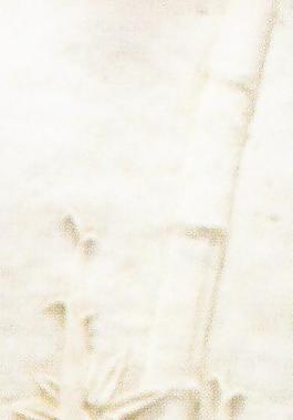 48694_浮雕_雕壁