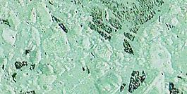 44529_肌理油彩_壁肌理