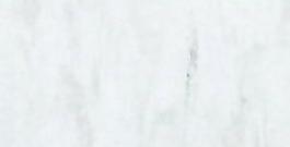 44557_肌理油彩_壁肌理