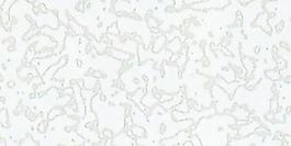44562_肌理油彩_壁肌理