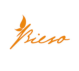 bieso logo設(shè)計(jì)欣賞 bieso設(shè)計(jì)公司LOGO下載標(biāo)志設(shè)計(jì)欣賞