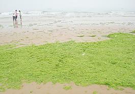 大海景色青岛海边图片