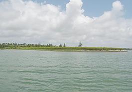 大海圖片
