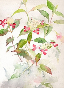 位圖 寫(xiě)意花卉 植物 花朵 免費(fèi)素材