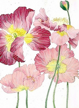 位圖 寫意花卉 植物 花朵 免費(fèi)素材
