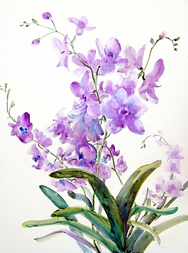 位圖 寫意花卉 植物 花朵 免費(fèi)素材