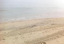 海边图片