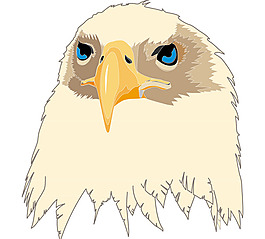Aguia_Eagle logo設計欣賞 Aguia_Eagle廣告公司LOGO下載標志設計欣賞