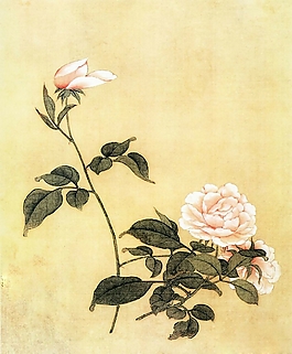 位圖 植物圖案 寫意花卉 花朵 牡丹 免費素材